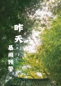 昨天暴雨预警txt盘