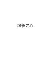 纷争2中文版
