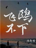 飞鸥不下无删减全文阅