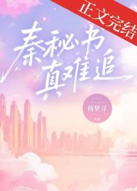 秦岒秘事