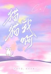 猫咪啊这表情包