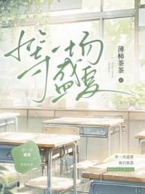 等一场盛夏TXT资源