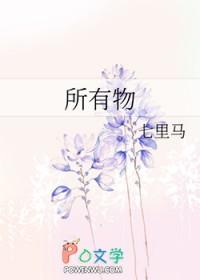 所有物这本书