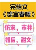 锦宫春暖简介