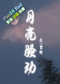 月亮骚动by望舒情节解析