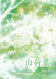 山荷叶的花语和传说