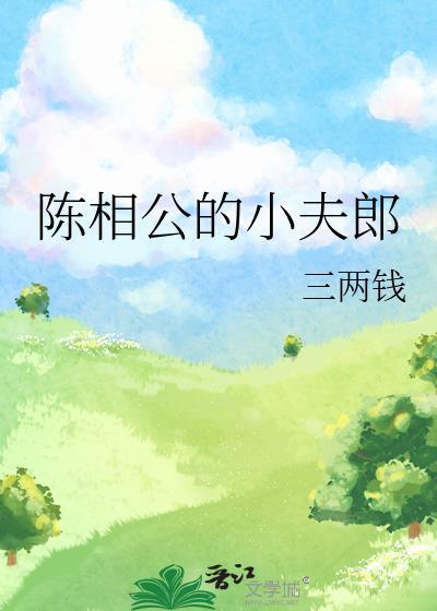 陈相公的小夫郎三两钱
