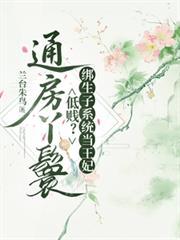 通房丫鬟可以生孩子吗