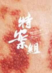 特殊案件调查组vi九