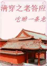 清穿之老答应txt