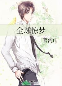 全球惊梦喜河山txt资源