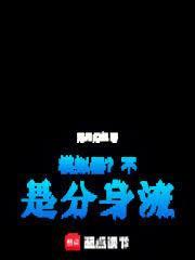 模拟器不是分身流TXT