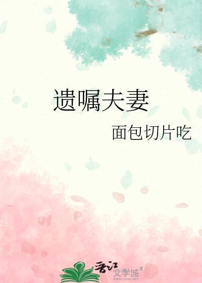遗嘱夫妻笔趣阁