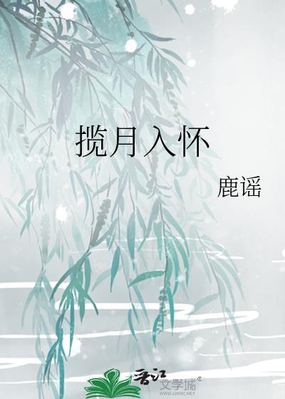揽月入怀前一句是什么
