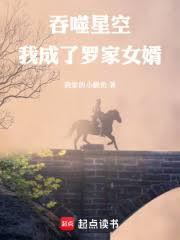 吞噬星空我成了罗家女婿百度