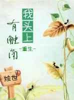 头上有触角的螃蟹叫什么名字