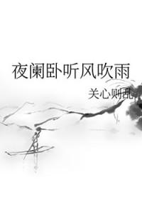 夜阑卧听风吹雨by关心则乱笔趣阁