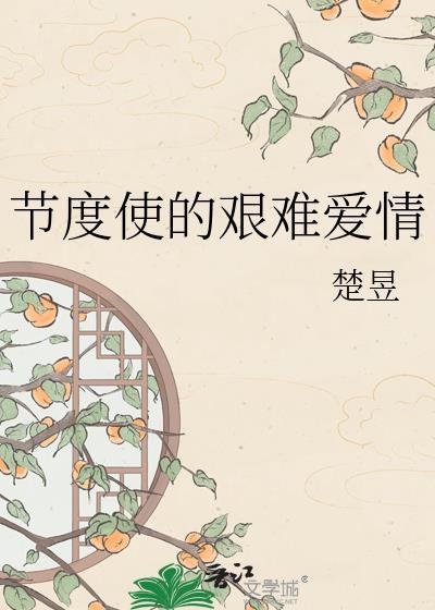 节度使的艰难爱情讲的什么