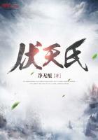 伏天氏TXT全本完结